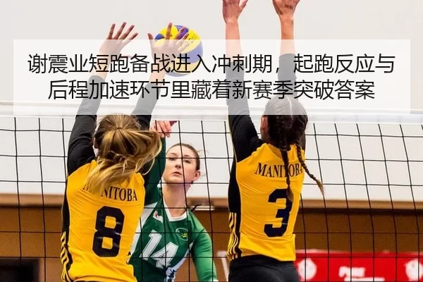 谢震业短跑备战进入冲刺期，起跑反应与后程加速环节里藏着新赛季突破答案